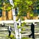 07年西安美术学院毕业设计展--延安老鲁艺旧址保护及周边环境规划