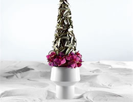 Rosenthal Studio-Line
